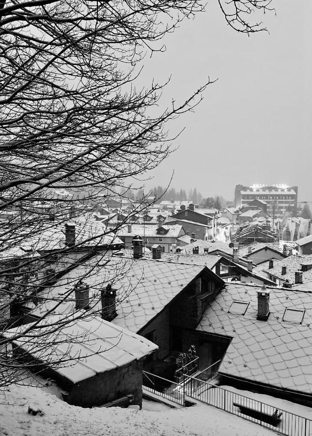 Chalet Blanc "Coeur Sapin" Курмайор Екстериор снимка
